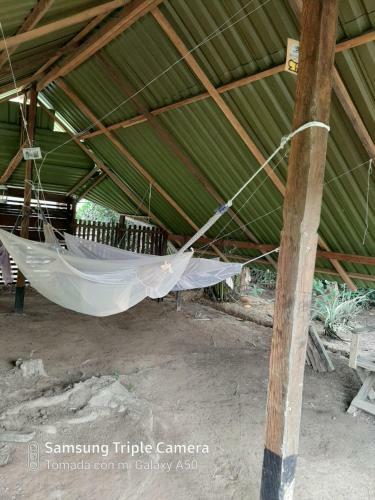 Comunidade Do Xingu Camping Side
