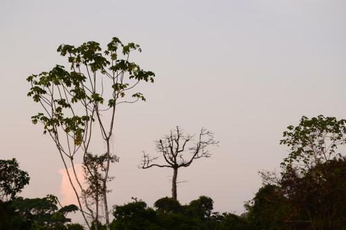 Comunidade Do Xingu Camping Side