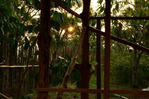 Comunidade Do Xingu Camping Side