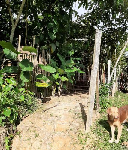 Comunidade Do Xingu Camping Side