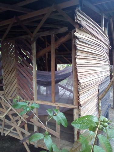 Comunidade Do Xingu Camping Side