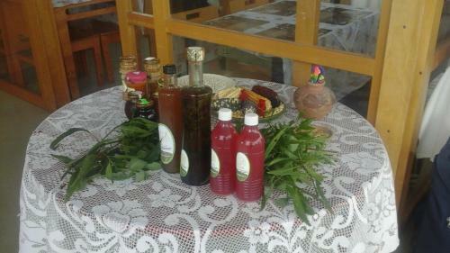 Hostal Casa Raiz