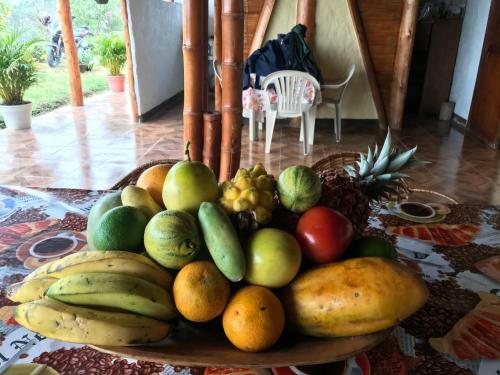Hostal Finca El Recreo
