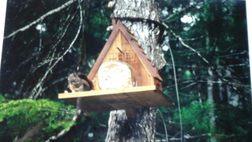 Beaver Hut Bed And Breakfast