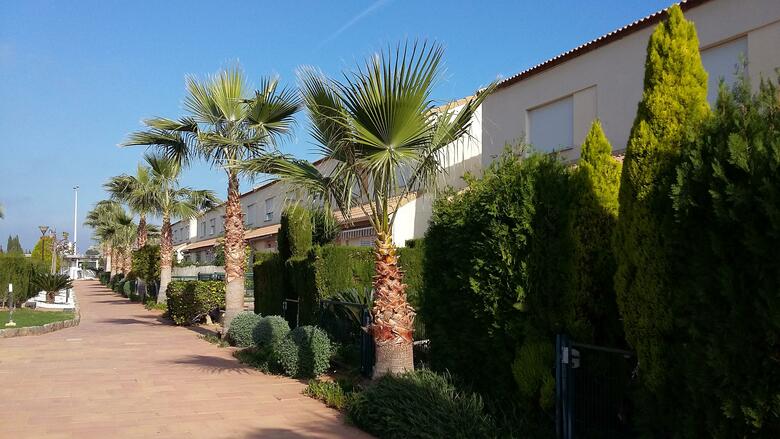 Apartamentos Villas De Oropesa 3000