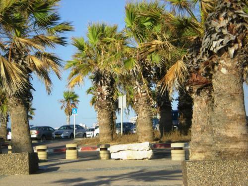 Hostal Castel Ashkelon