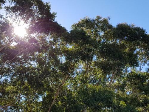 Apartamento Chill-out Beachside @ Forster