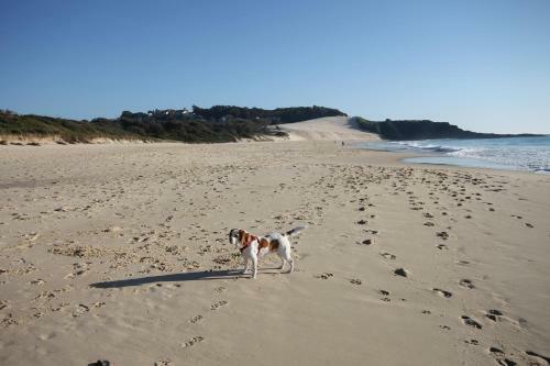 Chill-out Beach House @ Forster