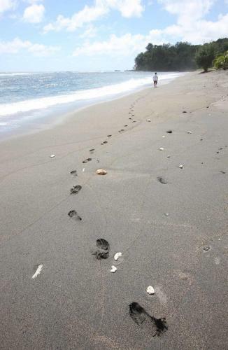 Hotel Friendly Beach