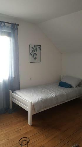 Urban Apartment & Hostel