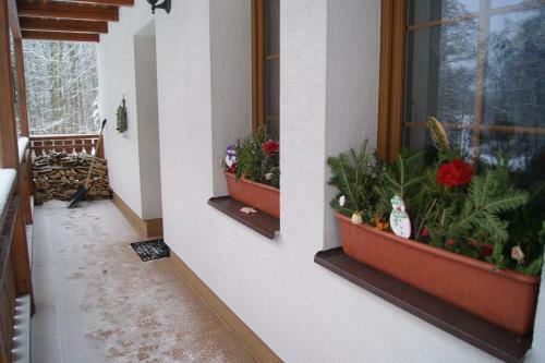 Chalet Horn� Orlice