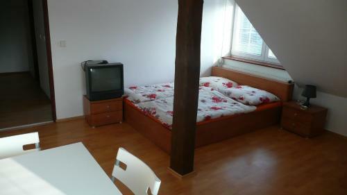 Apartments U Cara