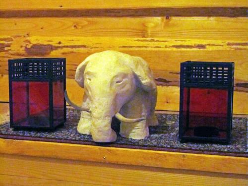 Metsatu White Elephant