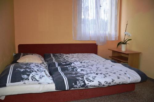 Hostal Penzion U Va?�??