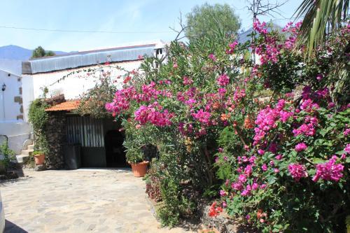 Casa Del Maestro