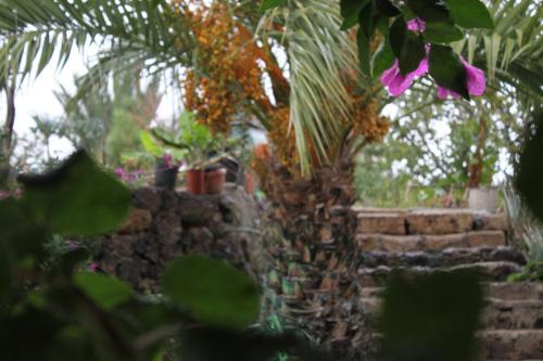 Casa Del Maestro