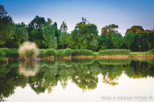 N�d A H�zam Teteje