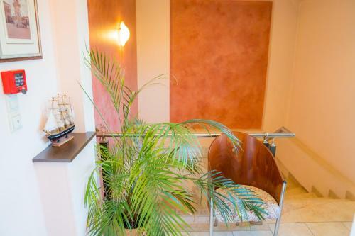 Hostal Yiannis Apartments