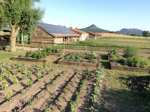Bed & Breakfast Gyulavez�r Lovasbirodalma