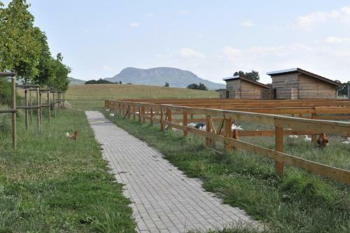Bed & Breakfast Gyulavez�r Lovasbirodalma