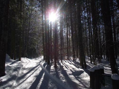 Apartamentos Ferienwohnung Am R�merweg Wald