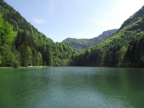 Apartamentos Ferienwohnung Am R�merweg Wald
