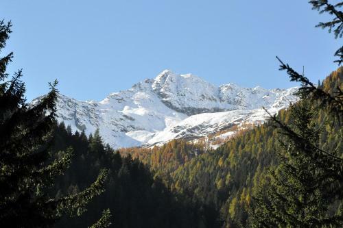 Chalet Bambi