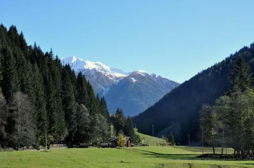 Chalet Bambi