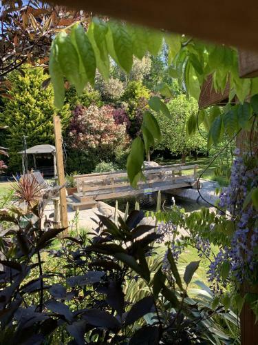 Woodpaddock Bed & Breakfast