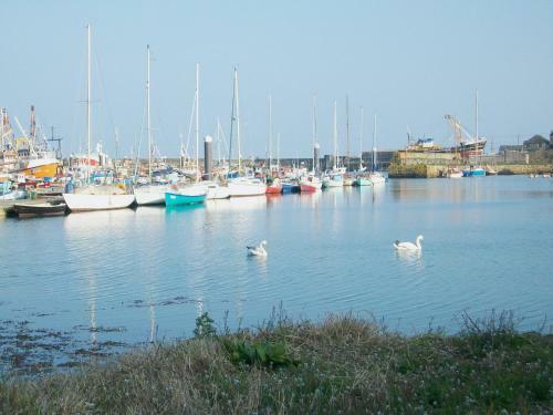Harbour Lights