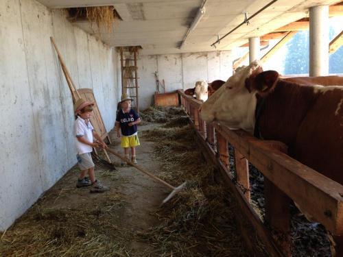 Agroturismo B�rntalerhof
