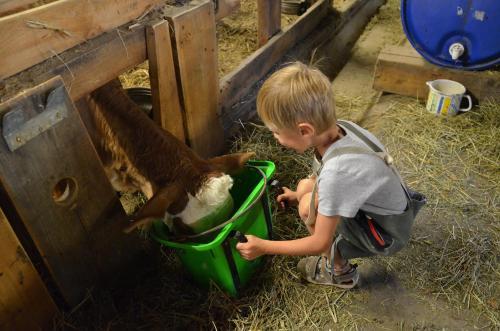 Agroturismo B�rntalerhof
