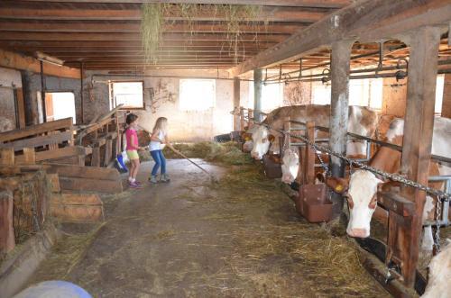 Agroturismo B�rntalerhof