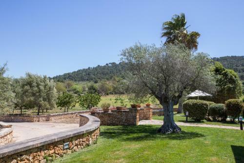 Villa Son Mel Contesti