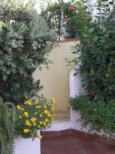 Hotel Villa Verde