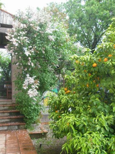 B&B Parco Di Veio