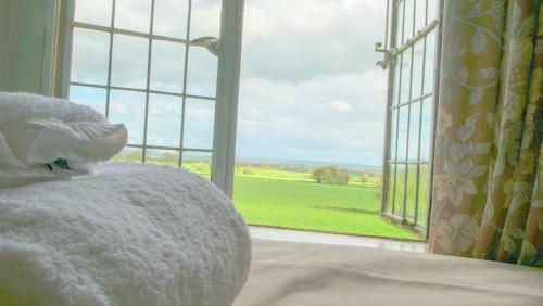 Bed & Breakfast Cleeve House