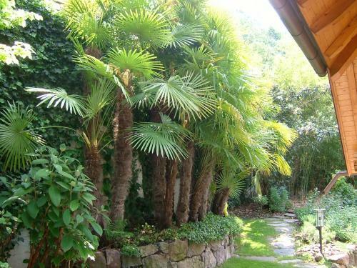 Apartamento Villa Sissi