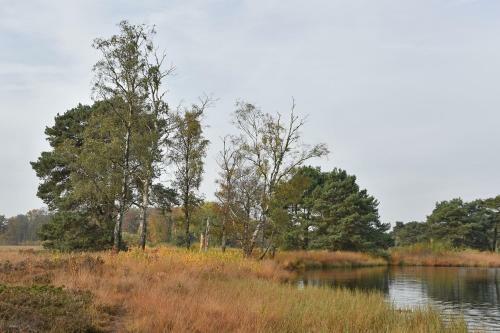 Herterij Twente