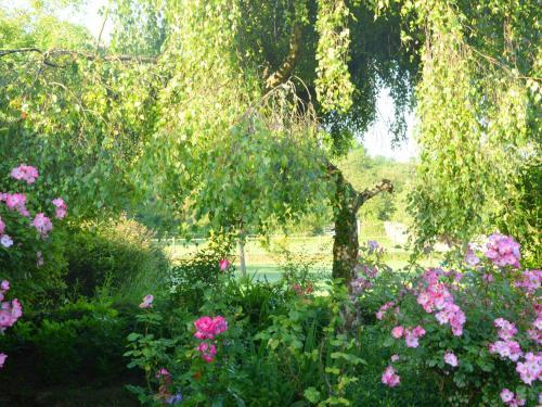Holiday Home L'amelinerie