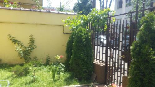 Hostal B&B Duo Caffe