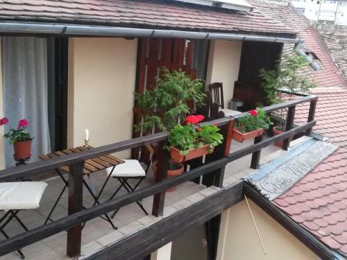 Hostal Casa Veche