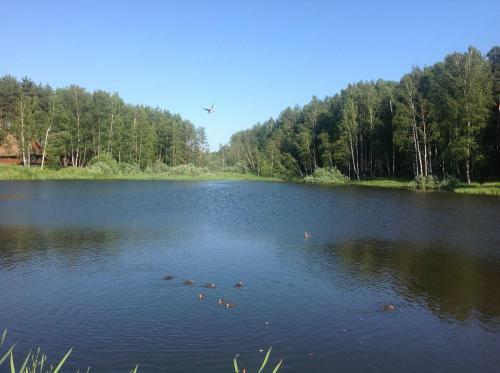 Holiday Home Na Berendeevskoy