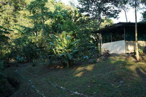 Utopia Tica Organic Farm & Hostel