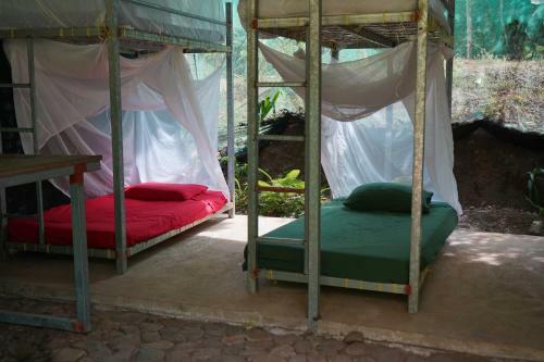 Utopia Tica Organic Farm & Hostel