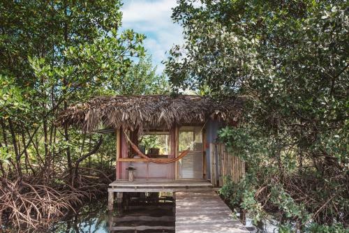 Cocovivo