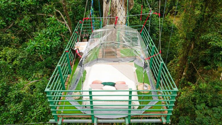 Jungle Green House