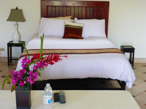 Hotel The Golden Frog Inn