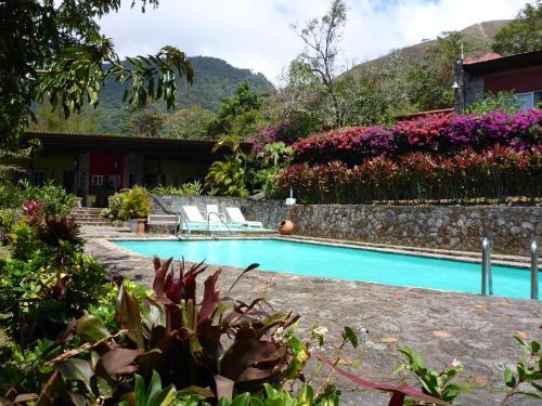 Hotel The Golden Frog Inn