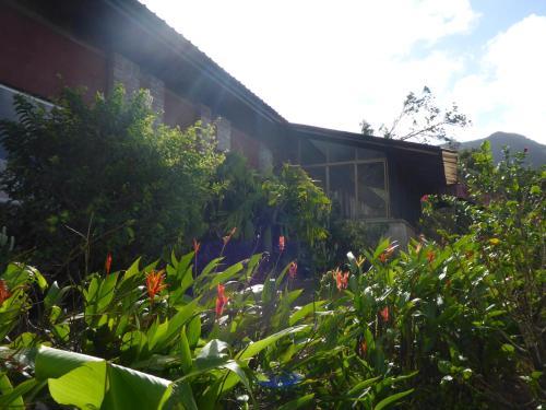 Hotel The Golden Frog Inn